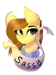 Size: 2991x4000 | Tagged: safe, artist:crazllana, oc, oc only, oc:coffee, pony, banner, bust, female, high res, mare, old banner, portrait, sassy, simple background, solo, transparent background