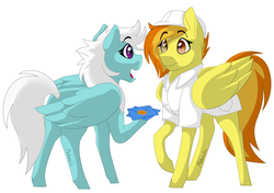 Size: 1024x719 | Tagged: safe, artist:fndomatic63, fleetfoot, spitfire, pegasus, pony, g4, colored pupils, duo, female, hoof hold, letter, mare, raised hoof, signature, simple background, story in the source, white background