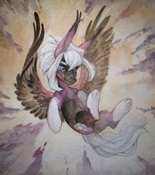 Size: 956x1080 | Tagged: safe, artist:aphphphphp, oc, oc only, pegasus, pony, coat markings, flying, socks (coat markings), solo, traditional art, underhoof