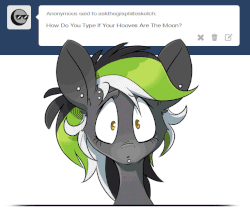 Size: 734x653 | Tagged: safe, artist:kez, oc, oc only, oc:graphite sketch, pegasus, pony, animated, askthegraphitesketch, female, gif, hooves, mare, piercing, simple background, solo, tumblr, white background