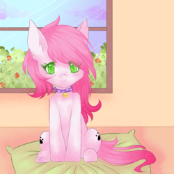 Size: 1024x1024 | Tagged: safe, artist:halcyondrop, oc, oc only, oc:tendril, pony, bell, bell collar, cat bell, collar, cute, digital art, ear fluff, female, green eyes, mare, pillow, pink coat, pink hair, pink mane, pink tail, sitting, solo, window