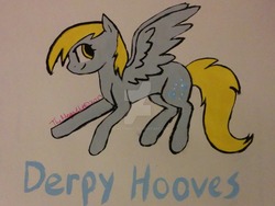 Size: 1600x1200 | Tagged: safe, artist:themeganut, derpy hooves, pony, g4, female, painting, solo, traditional art, watermark