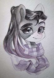 Size: 1384x1999 | Tagged: safe, artist:aphphphphp, oc, oc only, pony, bust, clothes, coat markings, female, mare, pinto, portrait, scarf, solo, traditional art
