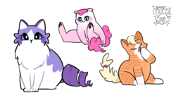 Size: 895x499 | Tagged: safe, artist:dusty-munji, applejack, pinkie pie, rarity, cat, g4, catified, cute, simple background, species swap, white background