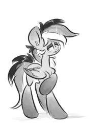 Size: 540x655 | Tagged: safe, artist:kez, oc, oc only, oc:graphite sketch, pegasus, pony, animated, female, gif, grayscale, mare, monochrome, simple background, solo, white background