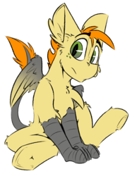 Size: 1572x2025 | Tagged: source needed, safe, artist:ralek, oc, oc only, hippogriff, colored wings, crossbreed, cute, foal, freckles, gradient wings, leonine tail, looking at you, male, parent:oc:honey blossom, parent:oc:ralek, simple background, slit pupils, talons, underhoof, white background, wings