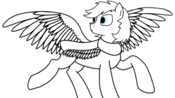 Size: 1608x899 | Tagged: safe, artist:zephyr!, oc, oc only, unnamed oc, pegasus, pony, blank, clothes, flying, landing, male, scarf, simple background, solo, stallion, white background