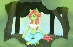Size: 1024x662 | Tagged: safe, artist:gingerbreadarts, tree hugger, earth pony, anthro, unguligrade anthro, g4, belly button, clothes, crossed legs, female, mare, midriff, pants, patreon, patreon logo, solo