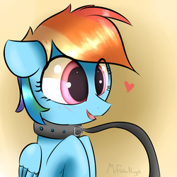 Size: 3000x3000 | Tagged: safe, artist:a8f12, rainbow dash, pegasus, pony, g4, bdsm, blushing, bust, collar, cute, dashabetes, female, floppy ears, heart, high res, pet, pet play, pet-dash, smiling, solo, submission