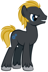 Size: 1024x1555 | Tagged: safe, artist:petraea, oc, oc only, oc:zeth, earth pony, pony, male, simple background, solo, stallion, transparent background, vector