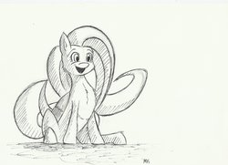 Size: 3440x2496 | Tagged: safe, artist:maneingreen, fluttershy, pony, g4, high res, sketch, smiling