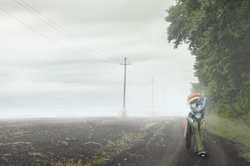 Size: 3646x2420 | Tagged: safe, artist:toanderic, rainbow dash, pony, g4, fog, high res, irl, photo, photography, russia, solo, travelling