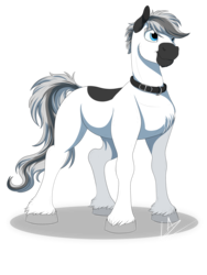 Size: 3000x4000 | Tagged: safe, artist:lupiarts, oc, oc only, oc:snoopy stallion, pony, cel shading, jewelry, necklace, solo, spots