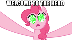 Size: 900x506 | Tagged: safe, pinkie pie, earth pony, pony, bridle gossip, g4, artifact, female, simple background, solo, swirly eyes, transparent background, welcome to the herd