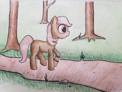 Size: 4032x3024 | Tagged: safe, artist:emberpon3, oc, oc only, oc:cocoa bean, pony, amputee, forest, prosthetic limb, prosthetics, solo, traditional art