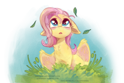 Size: 872x582 | Tagged: safe, artist:stepandy, fluttershy, pegasus, pony, g4, blush sticker, blushing, cute, female, floppy ears, looking at something, looking up, mare, open mouth, shyabetes, simple background, solo, transparent background