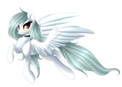 Size: 3286x2334 | Tagged: safe, artist:scarlet-spectrum, oc, oc only, oc:hoshiko, pegasus, pony, art trade, female, high res, large wings, mare, simple background, solo, transparent background, wings