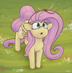 Size: 1770x1796 | Tagged: safe, artist:marsminer, fluttershy, dragonfly, pegasus, pony, g4, :o, curious, cute, female, looking at something, looking up, mare, open mouth, shyabetes, solo, standing, wings