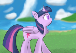Size: 1920x1350 | Tagged: safe, artist:ghost3641, twilight sparkle, alicorn, pony, g4, chest fluff, colored pupils, ear fluff, female, solo, twilight sparkle (alicorn), walking