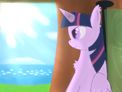 Size: 4000x3000 | Tagged: safe, artist:ghost3641, twilight sparkle, alicorn, pony, g4, chest fluff, colored pupils, ear fluff, female, solo, sun, twilight sparkle (alicorn)