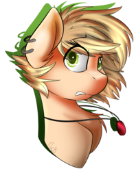 Size: 1563x1971 | Tagged: safe, artist:beardie, oc, oc only, pony, bust, simple background, solo, transparent background