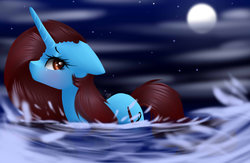 Size: 1024x668 | Tagged: safe, artist:bambudess, oc, oc only, oc:dess, pony, unicorn, brown eyes, brown mane, cloud, female, mare, moon, night, solo, stars, water