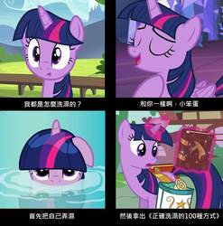 Size: 1644x1663 | Tagged: safe, twilight sparkle, alicorn, pony, g4, book, chinese, twilight sparkle (alicorn)