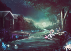 Size: 1118x800 | Tagged: safe, artist:tiothebeetle, oc, oc only, oc:rainy skies, pony, commission, night, river, scenery, solo, stars