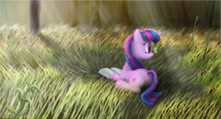 Size: 1001x540 | Tagged: safe, artist:stratodraw, twilight sparkle, butterfly, pony, unicorn, g4, book, crepuscular rays, cute, female, field, grass, grass field, lying down, mare, prone, reading, solo, tree, twiabetes