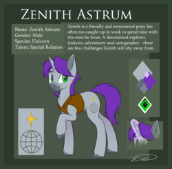 Size: 2092x2056 | Tagged: safe, artist:doekitty, oc, oc only, oc:zenith astrum, pony, unicorn, clothes, high res, magic, male, raised hoof, reference sheet, shirt, solo, stallion