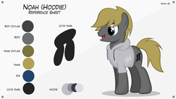 Size: 1920x1080 | Tagged: safe, artist:noah-x3, oc, oc only, oc:noah, earth pony, pony, g4, clothes, hoodie, male, reference sheet, show accurate, solo, stallion