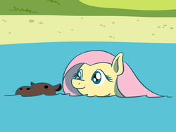 Size: 1800x1350 | Tagged: safe, artist:flutterluv, fluttershy, hippopotamus, pegasus, pony, g4, bust, smiling, swimming, water