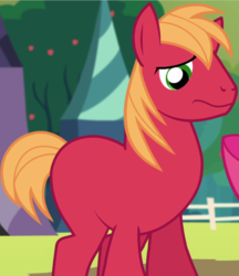 Size: 782x906 | Tagged: safe, edit, edited screencap, screencap, big macintosh, earth pony, pony, brotherhooves social, g4, bow, cute, macabetes, male, missing accessory, missing freckles, red, solo, stallion, worried