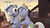 Size: 1920x1080 | Tagged: safe, artist:kmg0047, limestone pie, earth pony, pony, g4, 3d, hug, self ponidox