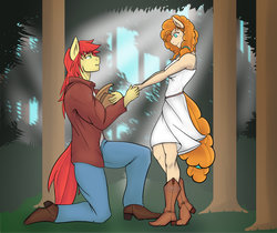 Size: 1024x861 | Tagged: safe, artist:nwinter3, bright mac, pear butter, earth pony, anthro, plantigrade anthro, g4, the perfect pear, clothes, cowboy hat, dress, female, hat, looking at each other, male, mare, marriage proposal, ship:brightbutter, shipping, smiling, stallion, stetson, straight