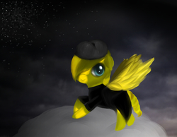 Size: 900x700 | Tagged: safe, artist:pipomanager-mimmi, oc, oc only, oc:little clocks, pegasus, pony, clothes, female, hat, mare, night, night sky, sky, solo