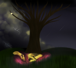 Size: 900x800 | Tagged: safe, artist:pipomanager-mimmi, fluttershy, pony, g4, cloud, grass, night, night sky, shooting star, sky, sleeping, thunderstorm, tree