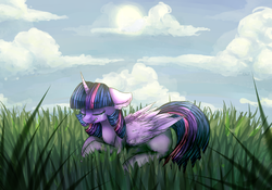 Size: 2222x1555 | Tagged: safe, artist:kilamuri, twilight sparkle, alicorn, pony, g4, cloud, crying, eyes closed, female, grass, lying down, mare, sad, solo, twilight sparkle (alicorn)