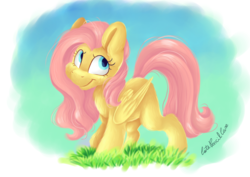 Size: 7016x4961 | Tagged: safe, artist:cutepencilcase, fluttershy, pegasus, pony, g4, absurd resolution, female, grass, looking away, looking back, looking up, mare, missing cutie mark, smiling, solo