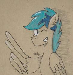 Size: 869x895 | Tagged: safe, artist:b-cacto, oc, oc only, oc:turquoise, pony, feather guns, one eye closed, smiling, solo, traditional art, wing hands, wink