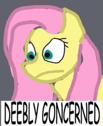 Size: 300x370 | Tagged: safe, edit, fluttershy, pony, g4, caption, concerned, explicit source, female, image macro, meme, quality, reaction image, solo, text