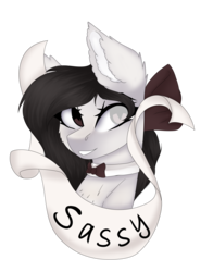 Size: 3135x4000 | Tagged: safe, artist:crazllana, oc, oc only, oc:mary, pony, banner, bow, bowtie, bust, female, hair bow, high res, mare, portrait, simple background, solo, transparent background