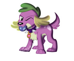 Size: 900x750 | Tagged: dead source, safe, artist:wubcakeva, spike, spike the regular dog, dog, equestria girls, g4, ball, cute, male, mouth hold, signature, simple background, solo, spikabetes, spike the dog, transparent background