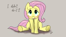 Size: 1920x1080 | Tagged: safe, artist:nabbes79, fluttershy, pony, g4, blatant lies, blushing, denial, dialogue, female, guilty, looking at you, looking up, looking up at you, open mouth, simple background, sitting, solo, talking