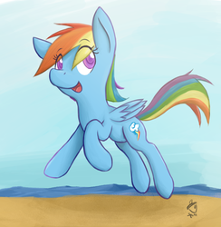 Size: 1052x1080 | Tagged: safe, artist:heylookasquirrel, rainbow dash, pony, g4, beach, cute, female, ocean, solo