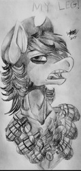 Size: 1967x4117 | Tagged: safe, artist:brainiac, oc, oc only, oc:p-21, earth pony, pony, bust, chest fluff, cowboy hat, grayscale, grenade, grenades, hat, male, monochrome, open mouth, solo, stallion, text, traditional art