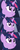 Size: 1031x2520 | Tagged: safe, edit, edited screencap, screencap, twilight sparkle, pony, unicorn, friendship is magic, g4, female, mare, nose wrinkle, panorama, scrunchy face, solo