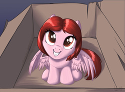 Size: 1600x1177 | Tagged: safe, artist:sirzi, oc, oc only, oc:weathervane, pegasus, pony, box, female, filly, looking at you, pony in a box, sitting, solo