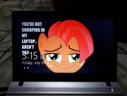 Size: 4608x3456 | Tagged: safe, babs seed, pony, g4, babsface, female, filly, freckles, grammar error, image macro, irl, meme, microsoft windows, photo, solo, suspicious, windows 8