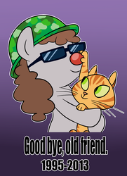 Size: 723x1000 | Tagged: safe, artist:madmax, oc, oc only, oc:sarge sprinkles, cat, earth pony, pony, gradient background, helmet, male, ponysona, red nose, rest in peace, smiling, stallion, sunglasses